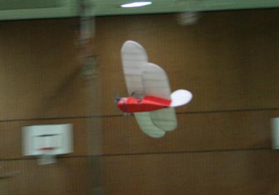 Bild 11