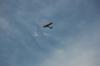 Bild 08