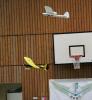Saalflugtag 2017