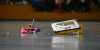 Saalflugtag 2024 - Bild21
